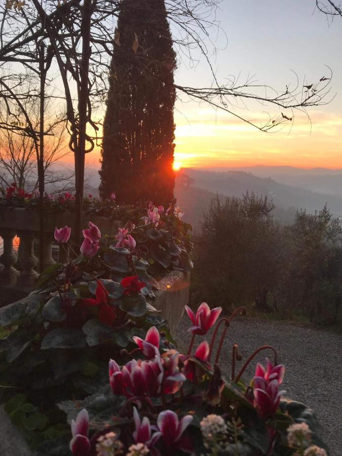 Villa La Piccioncina Firenze Dış mekan fotoğraf